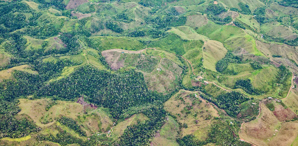 Riboto leidimo 70% Juodasis šokoladas COLOMBIA HACIENDA BETULIA B9