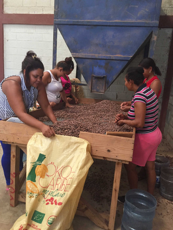 100 % Kakavos masė DOMINICAN REPUBLIC ÖKO CARIBE